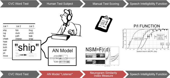 Predicting Speech Intelligibility